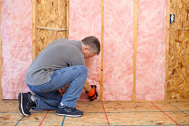 Best Local Insulation Services  in Mantua, UT